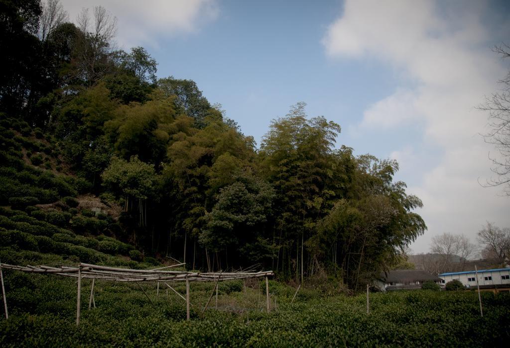 Hangzhou Banyan Art House 외부 사진
