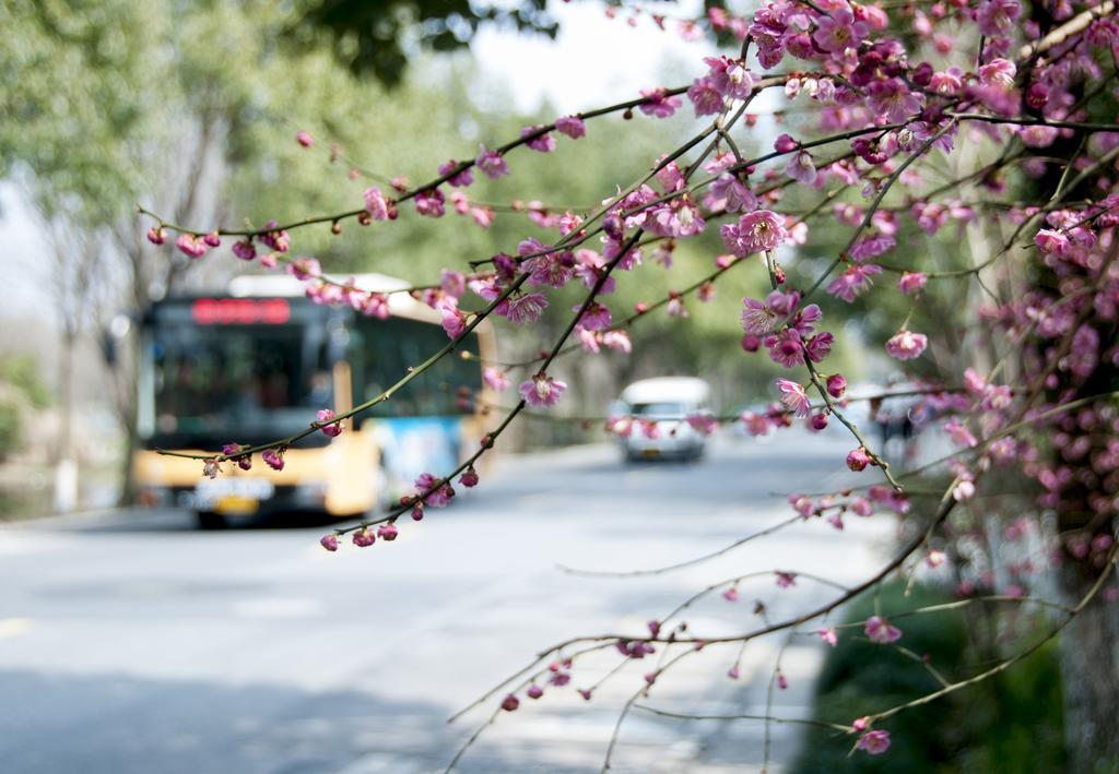 Hangzhou Banyan Art House 외부 사진